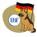 programa alemania potencia habilidades innovadoras de estudiantes